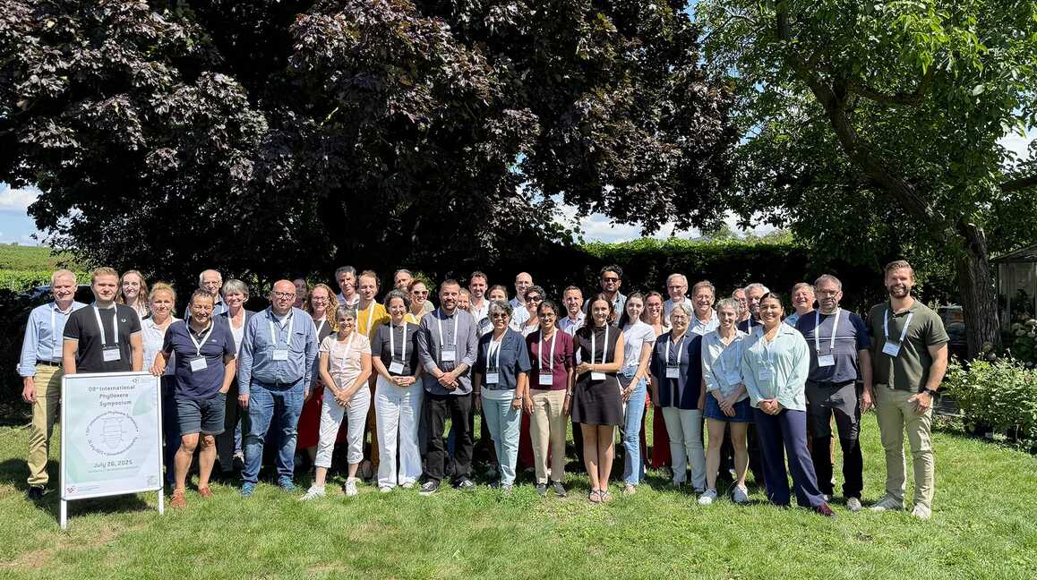8th International Phylloxera Symposium